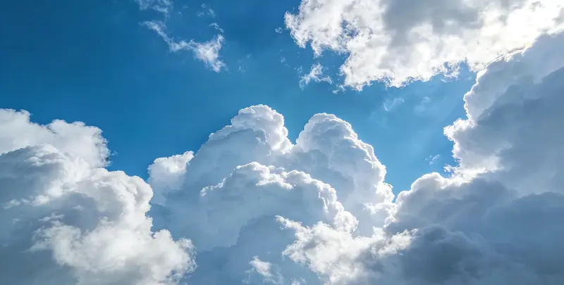 肺癌靶向120基因检测（组织）图2